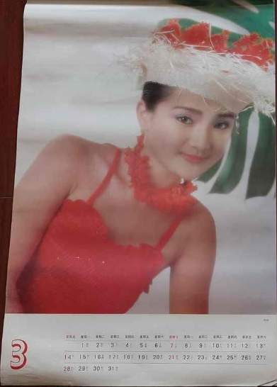 当年的泳装挂历,是多少直男的风月宝典?(组图)