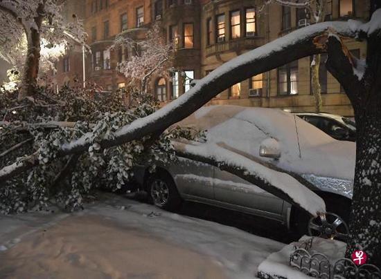 加州大火未完纽约突降大雪 致全城瘫痪多人死亡