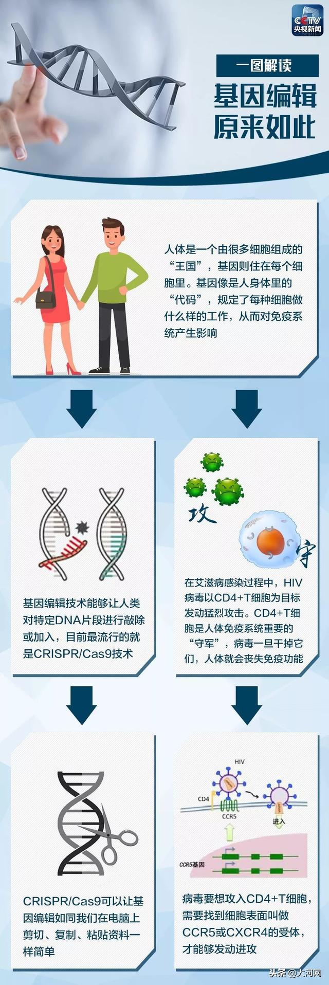 基因编辑原来是这么回事，一张图看懂了