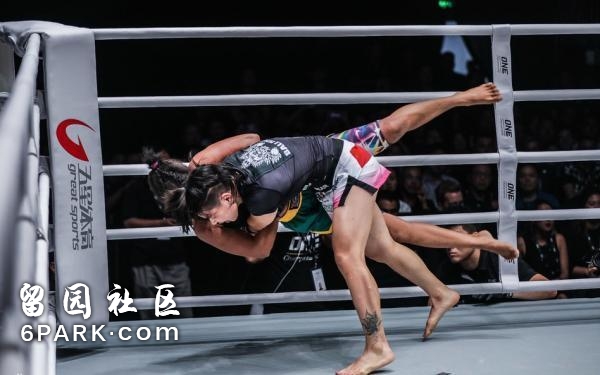 金钱与伤病共存的MMA，为了下一场比赛拳手都经历了什么