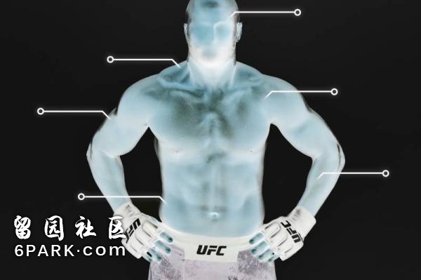 金钱与伤病共存的MMA，为了下一场比赛拳手都经历了什么