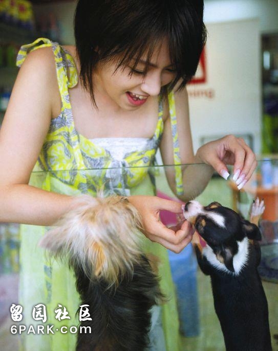 日本男性最想出轨的女明星，打败新垣结衣和石原里美的女人只有她