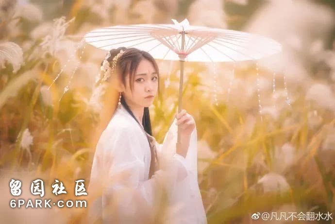 林志玲水下替身被骂绿茶，到底是她绵里藏针还是网友过分解读？