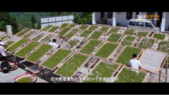 iTeaworld_ 广西大山深处的跨境茶叶卖家 4-36 screenshot
