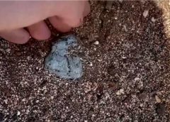 偏远小岛上发现塑料石块 令科学家都感到震惊